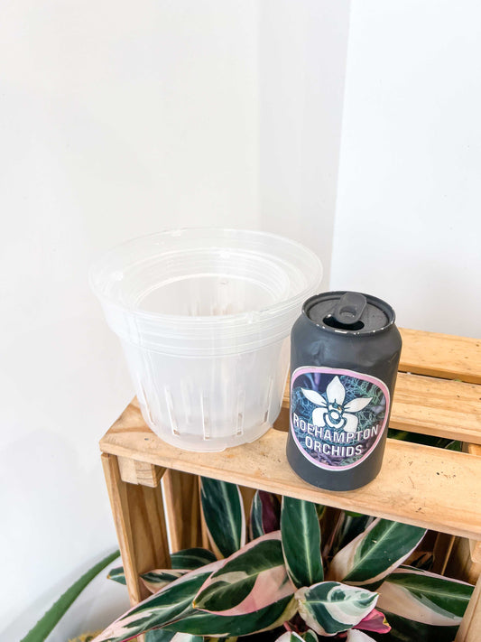 Hangable transparent slotted basket pot