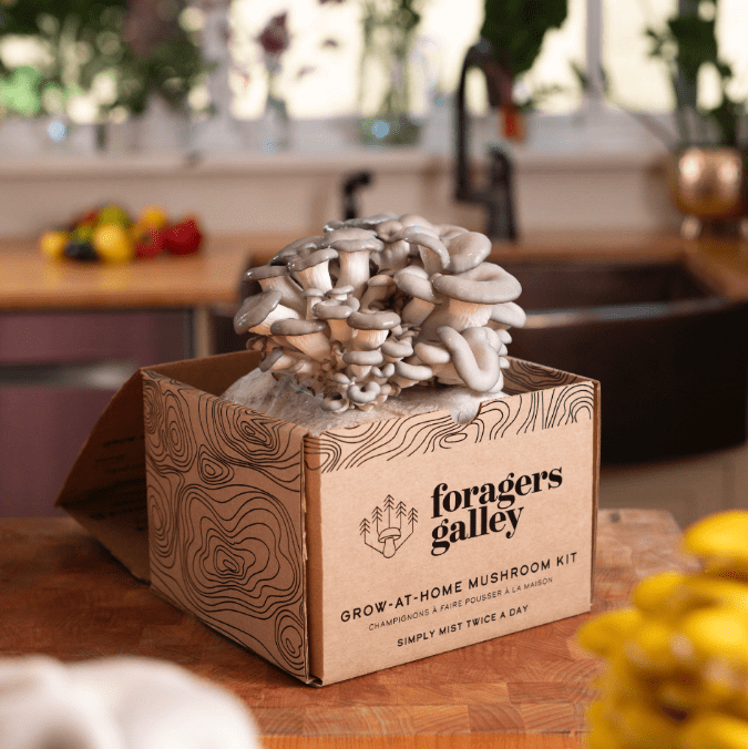 Grower's Starter Bundle - Two Kits