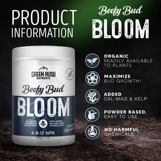 Beefy Bud Bloom Flowering Stage Plant Nutrients | All In One Plant Nutrients for Indoor & Outdoor Use
