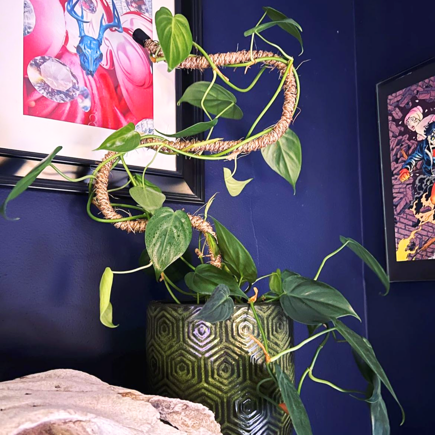 The Original Bendable Coir Pole⢠- Best Seller (Tape Included)