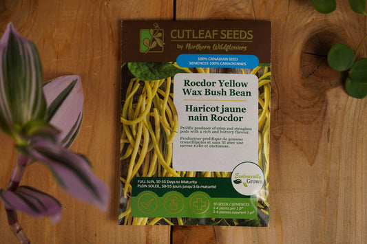Beans, Rocnor (yellow)