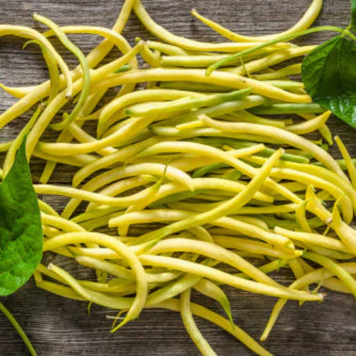 Beans, Rocnor (yellow)