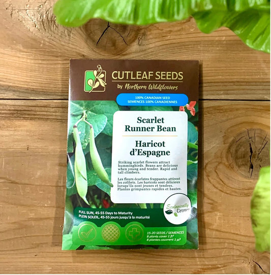 Beans, Scarlet Runner