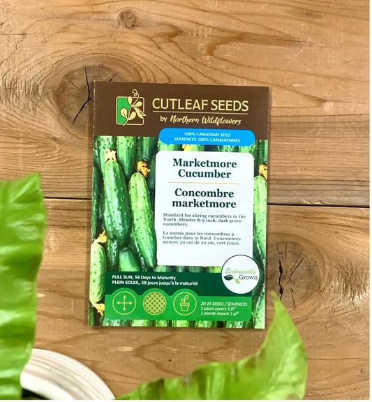 Cucumber, Marketmore