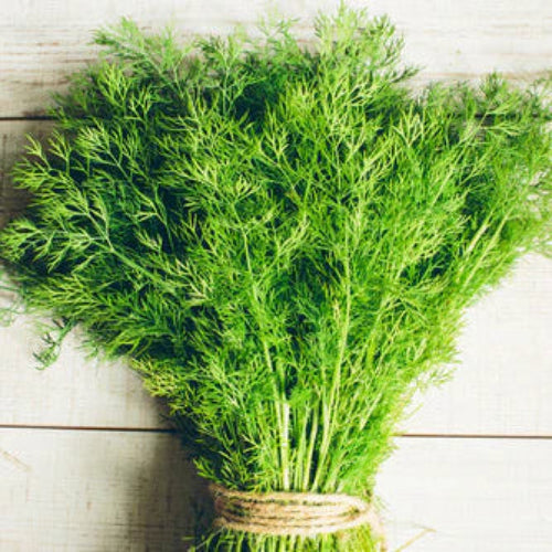 Dill Bouquet