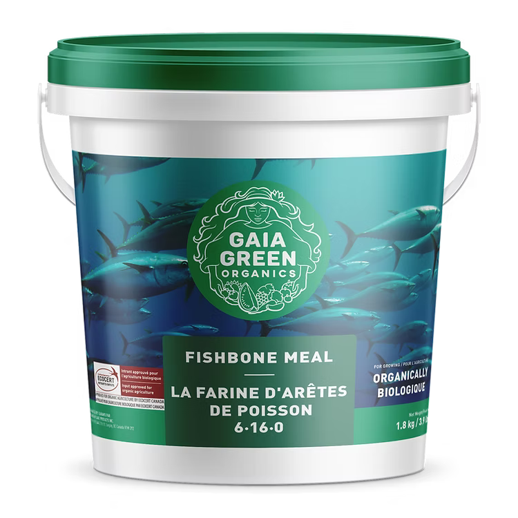 Close-up of Gaia Green Fish Bone Meal 6-16-0 showing phosphorus-rich organic fertilizer for strong plant growth