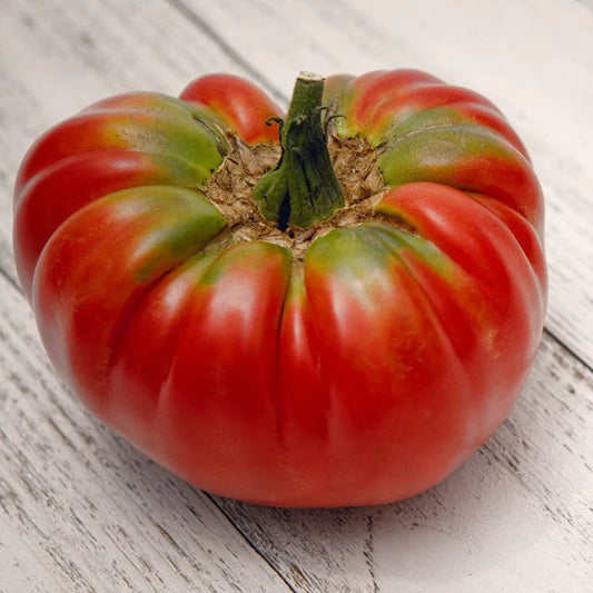 Tomato, German Johnson