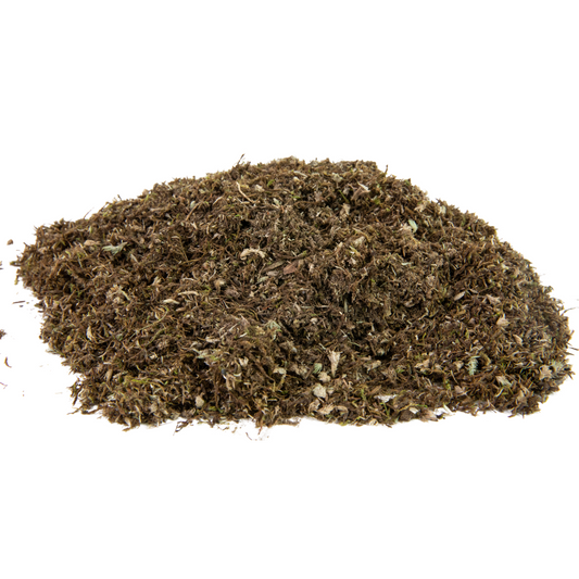 Native Boreal Mix Growable Moss for the Sun