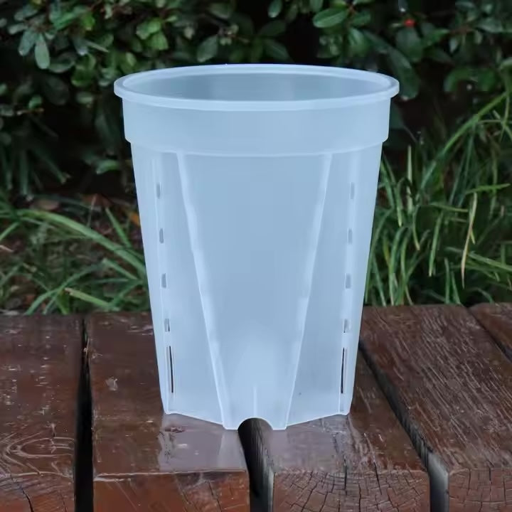 Tall Transparent Pot with Side & Bottom Drainage