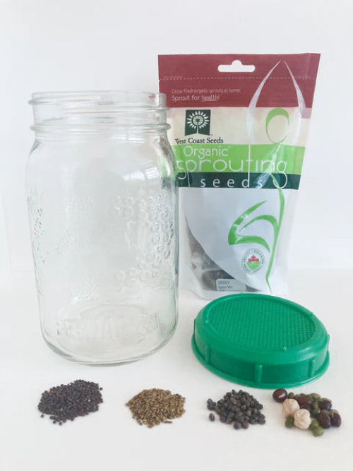 Sprouting Jar with Plastic Lid