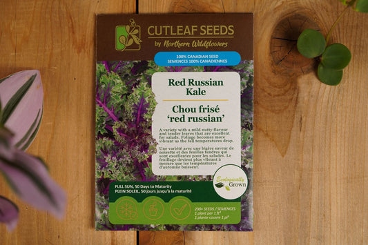 Kale Red Russian