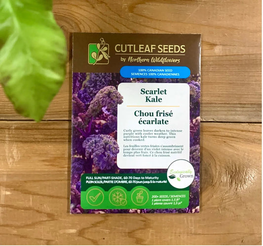 Kale, Scarlet