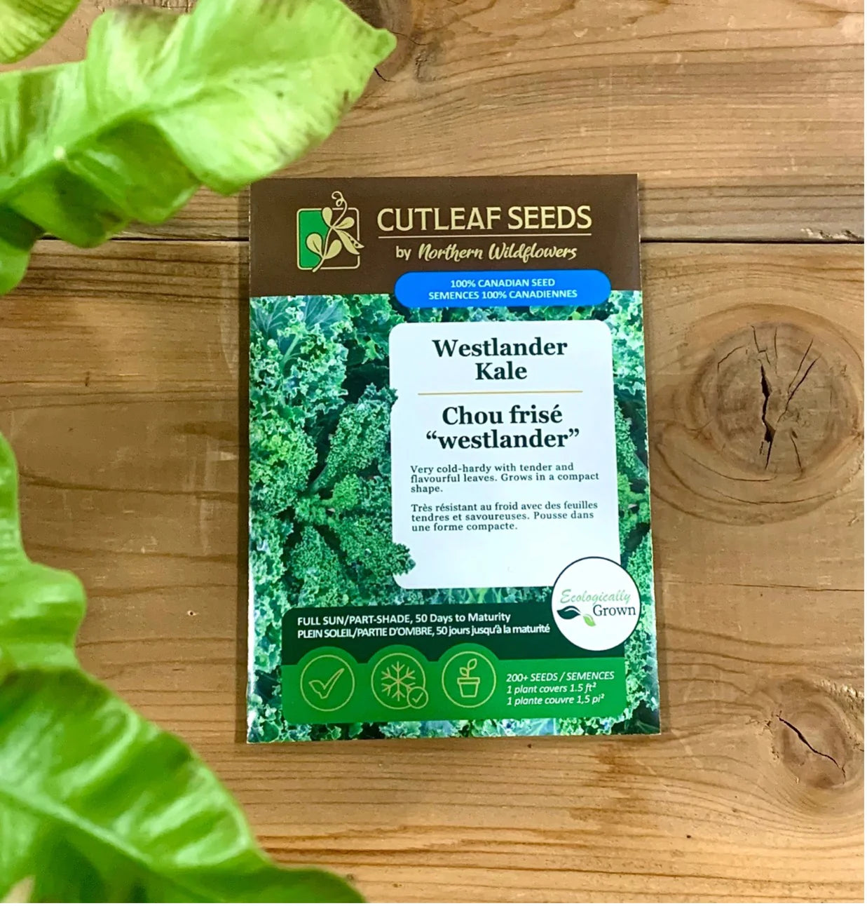 Kale, Westlander