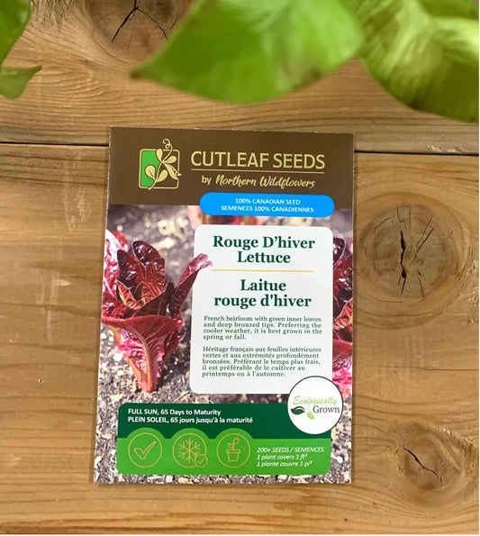 Lettuce, Rouge d'Hiver