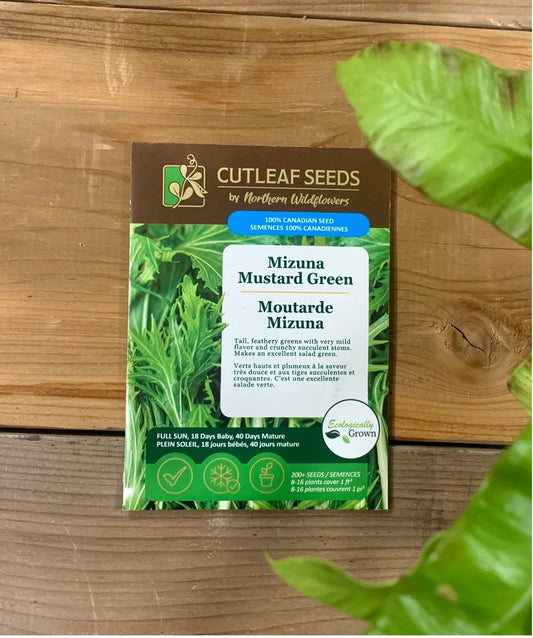 Mustard Greens, Mizuna
