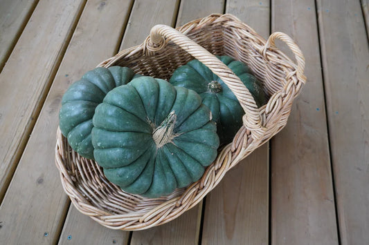 Pumpkin, Jade Knight F1