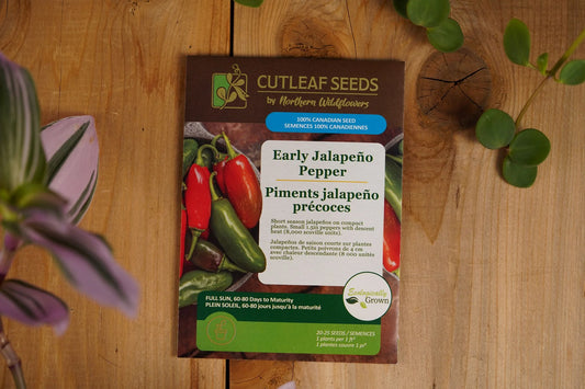 Pepper Hot Early Jalapeño