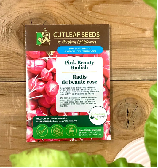 Radish, Pink Beauty (organic)