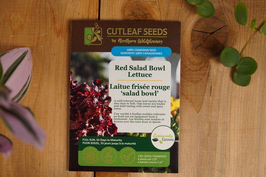 Lettuce Red Salad Bowl