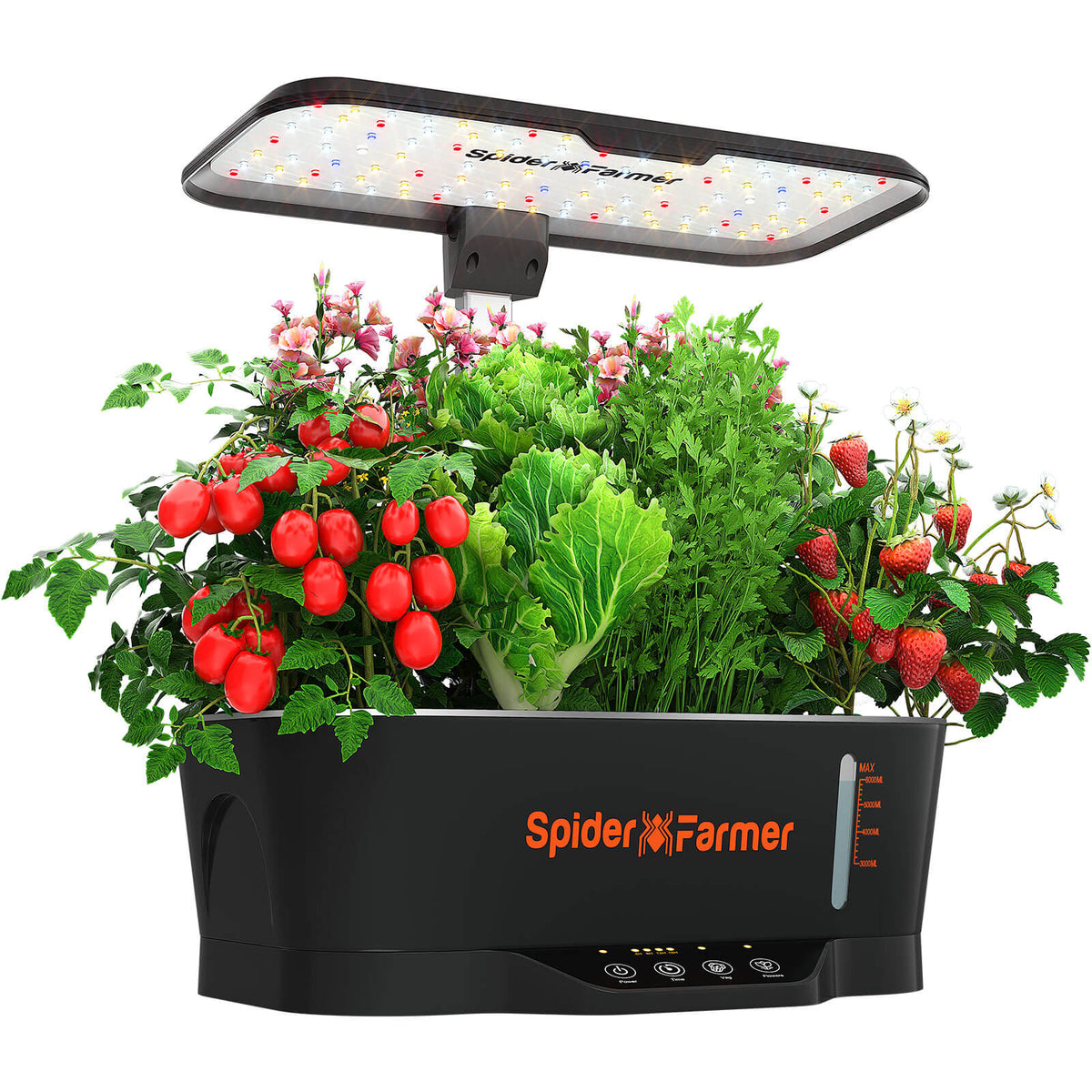 SmartG12 Hydroponic Gardening System Kit, 36W LED Grow Light, 12 Pods Indoor Herb Garden, 6L Water Tank
