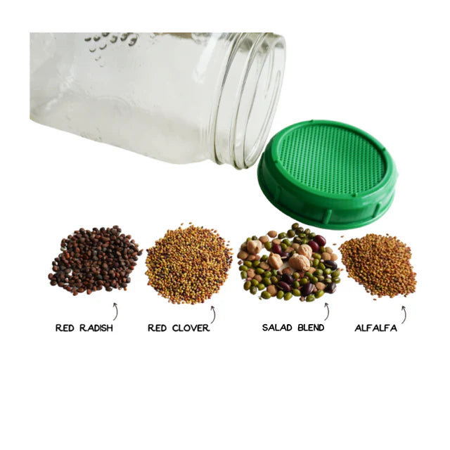 Sprouting Seeds - Fantastic Four Seed Collection Certified organic