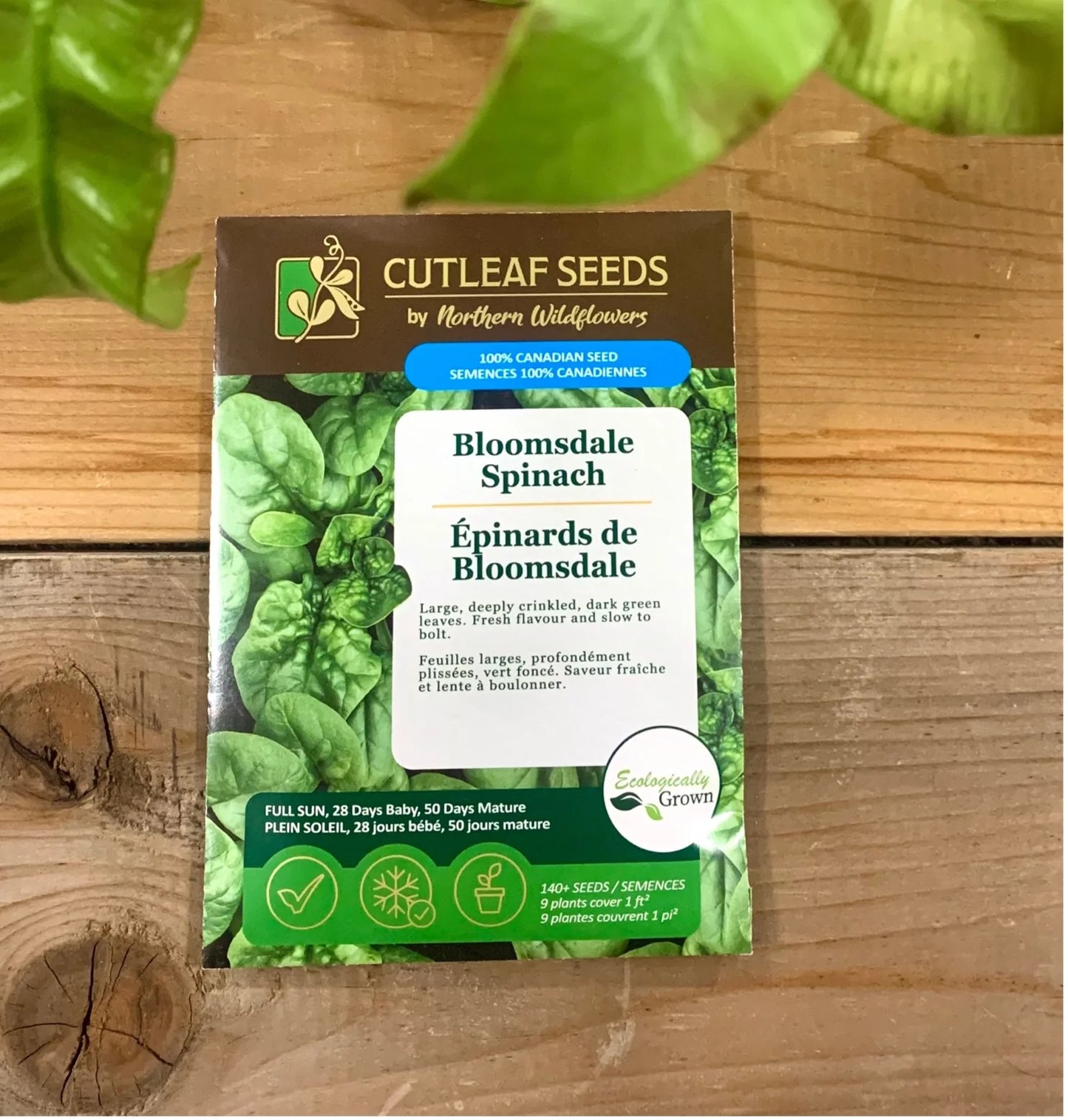 Spinach, Bloomsdale (organic)