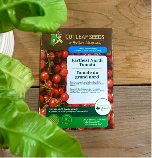 Tomato, Farthest North (organic)