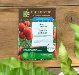 Tomato, Sioux (organic)