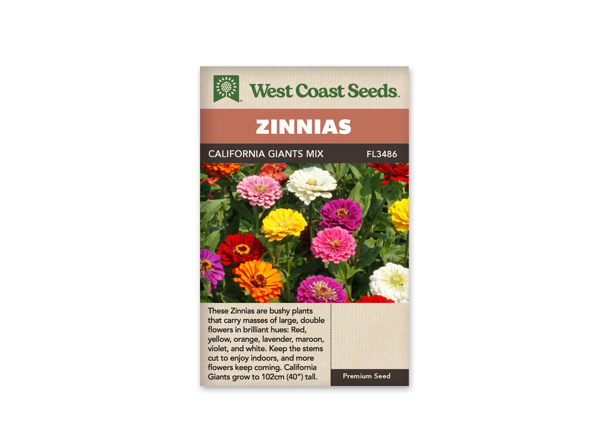Zinnias - California Giants Mix