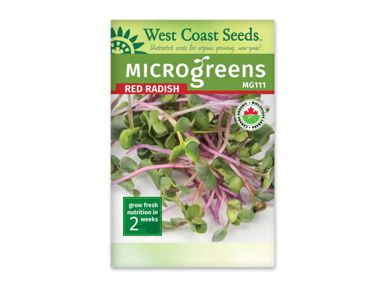 Microgreen Radish Certified Organic