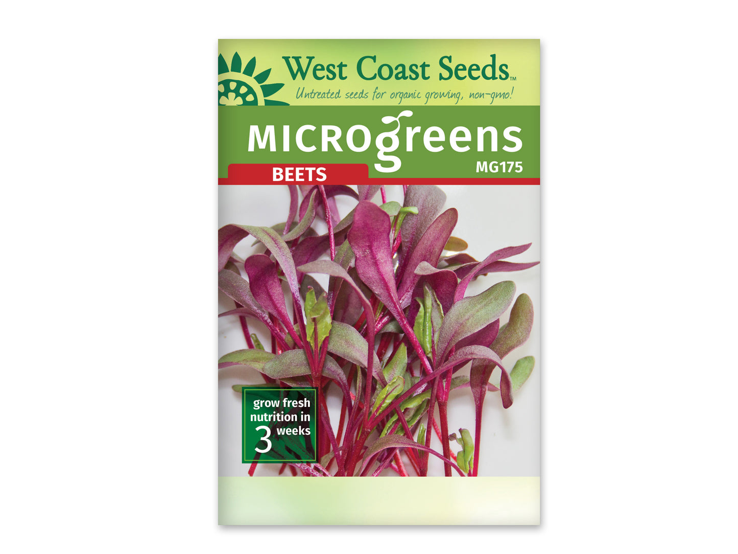 Microgreen Beets