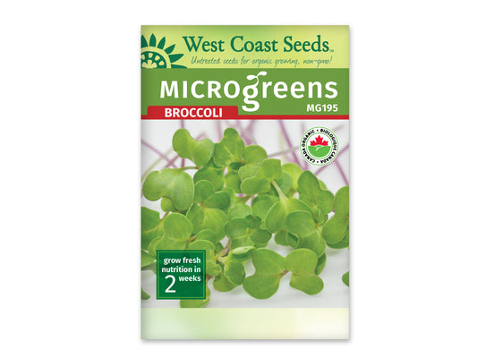 Microgreen Broccoli Certified Organic