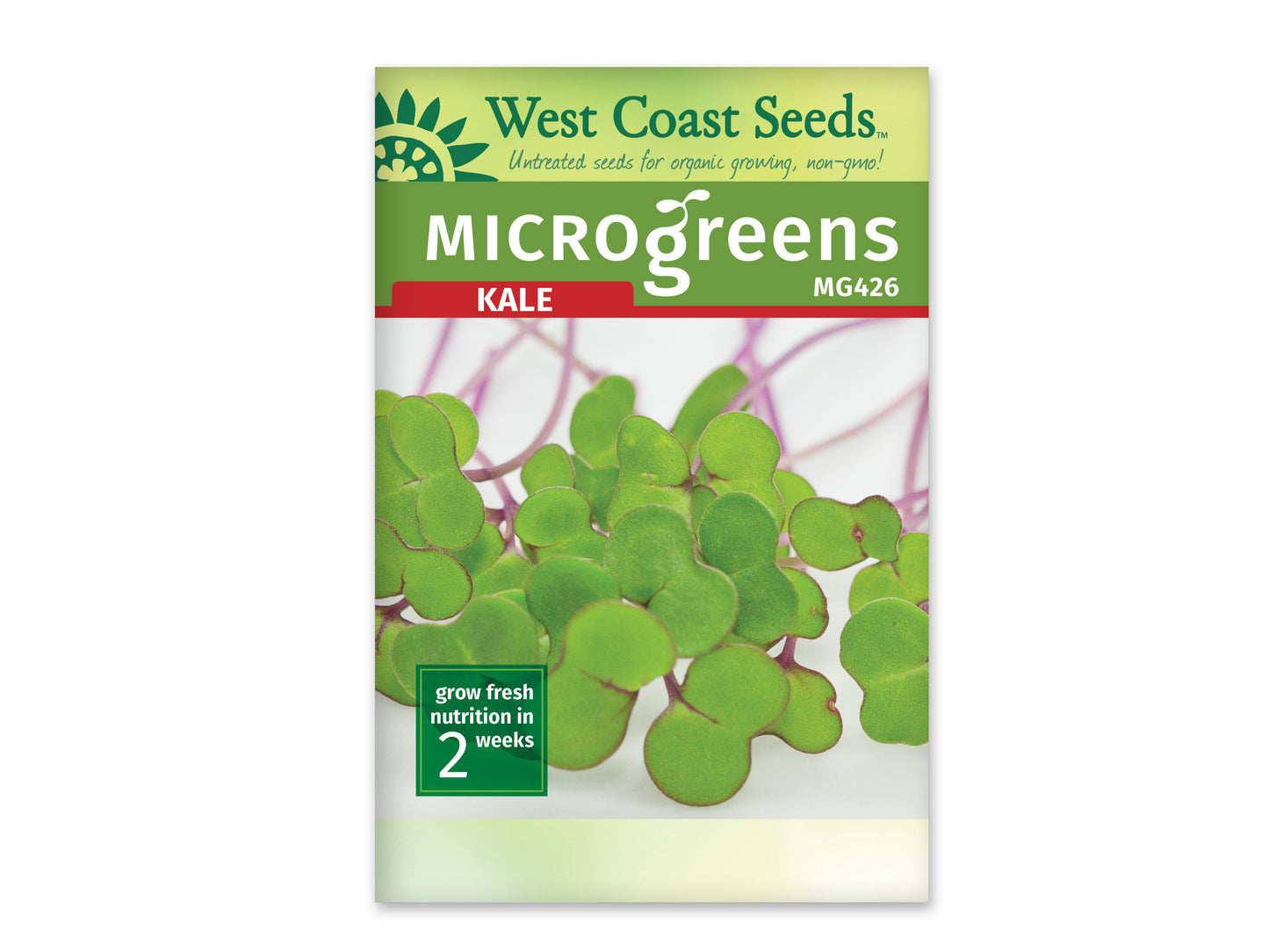 Microgreen Kale