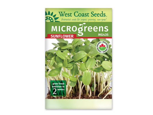 Microgreen Sunflower Certified Organic