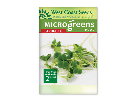 Microgreen Arugula