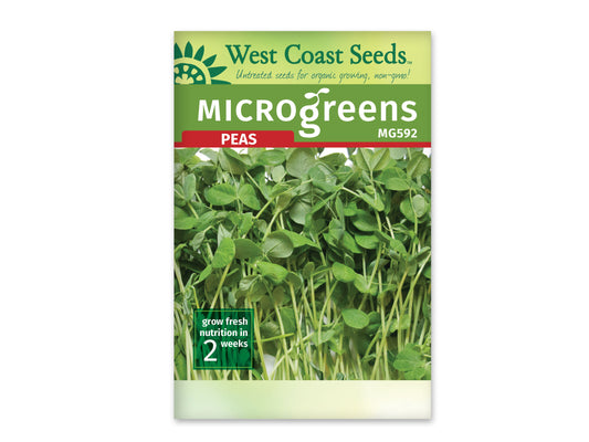 Microgreen Peas (Pea Shoots)