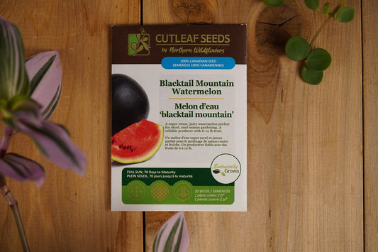 Watermelon Blacktail Mountain