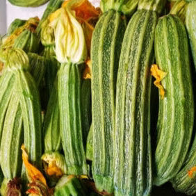 Zucchini Costata Romanesco
