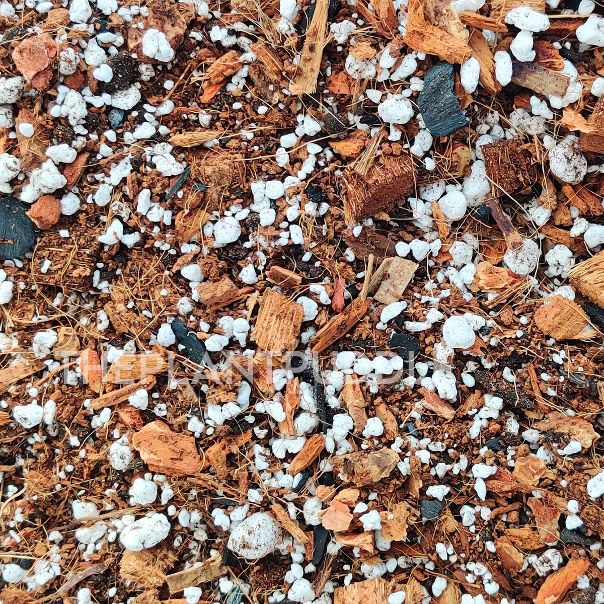 Aroid Potting Mix - Chunky and Soilless, Ready To Use