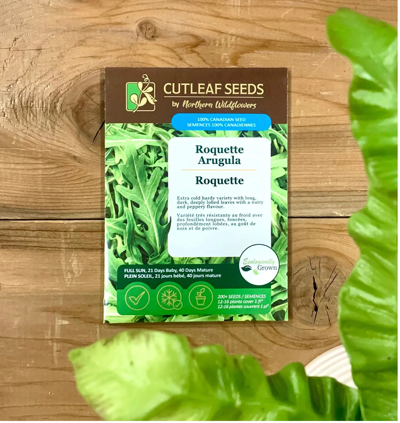 Arugula, Roquette
