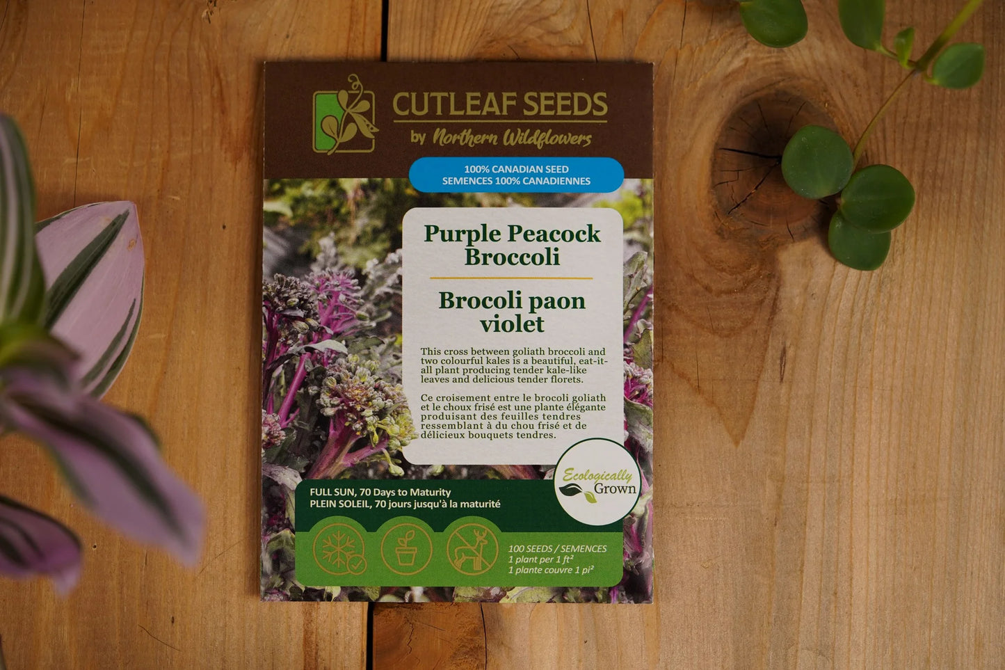 Broccoli Purple Peacock