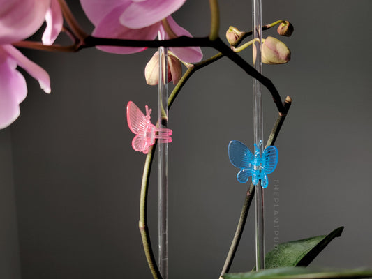 Butterfly Clips - 9 Assorted Colours