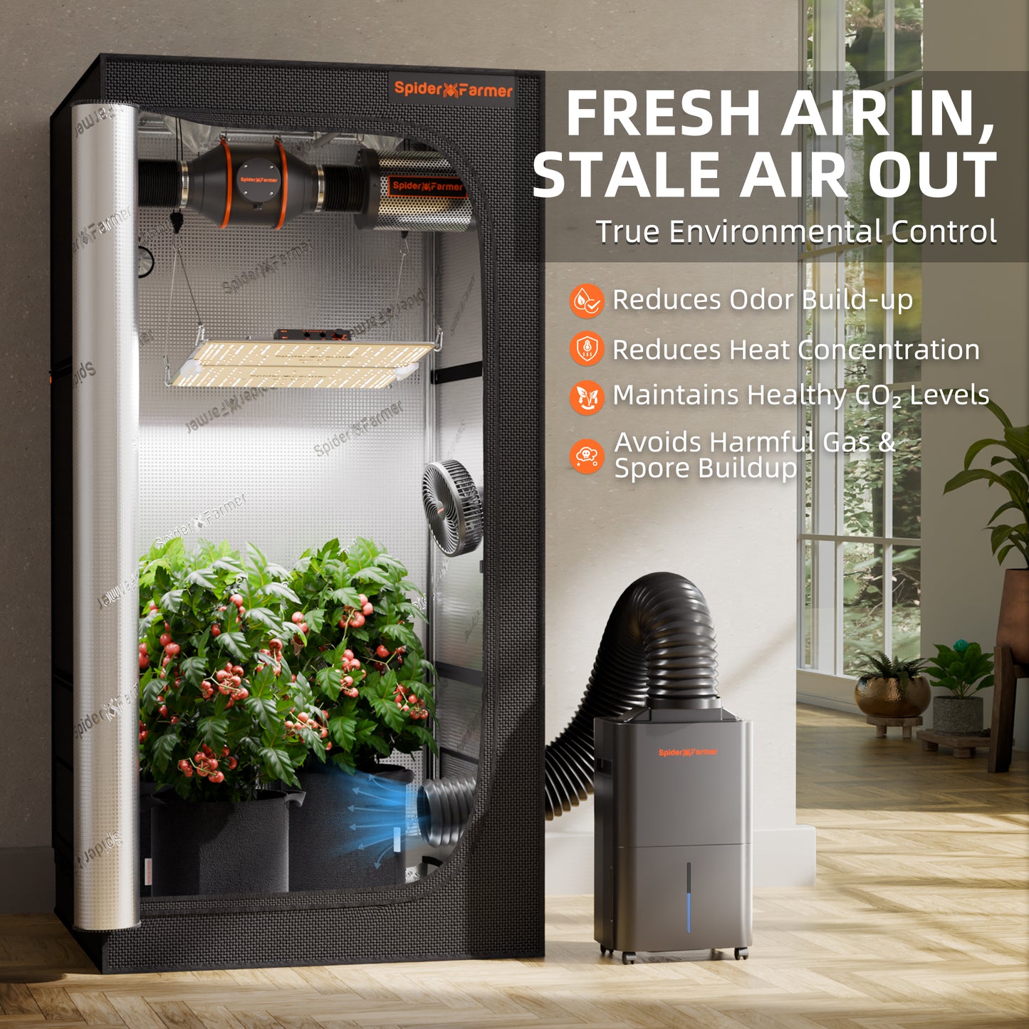 Dehumidifier – 2 Pint Smart Control with RJ12 Cable & Drain Hose