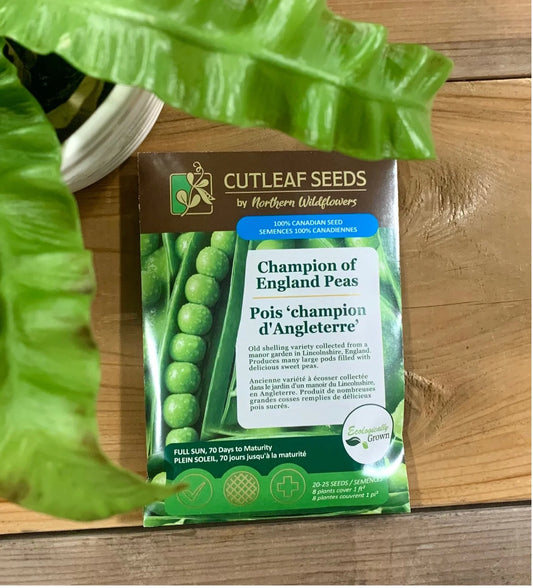 Peas, Champion of England (organic)