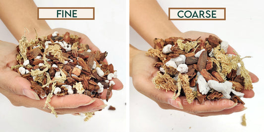 Orchid Potting Mix - A General Mix For Phalaenopsis Orchids