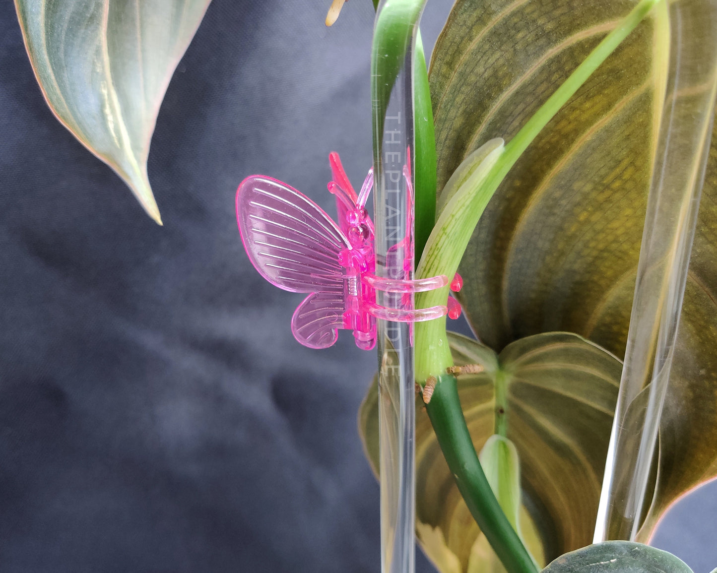 Butterfly Clips - 9 Assorted Colours