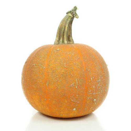 Pumpkin, Winter Luxury Pie