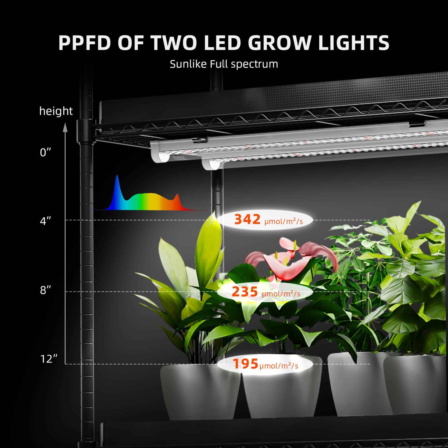 6 Tier Plant Stand With Grow Lights 220W , Plant Shelf with 1680D Grow Tent for Indoor Plant and Greenhouse