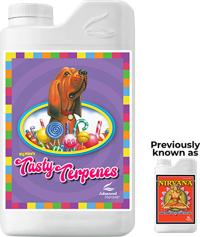 Tasty Terpenes also known as Nirvana