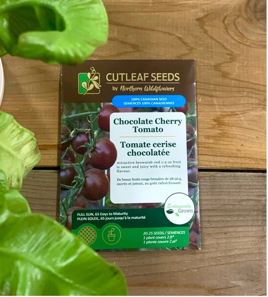 Tomato, Chocolate Cherry (organic)